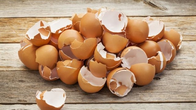 membrane d'oeuf