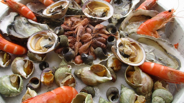 Sélenium, zinc et fonction rénale