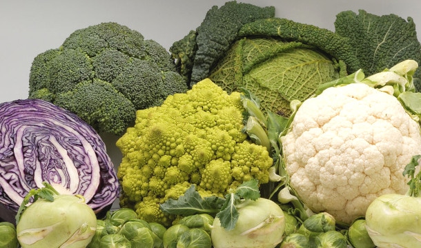 Sulforaphane et cognition
