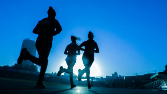 Flavanols et fonction rénale des coureurs