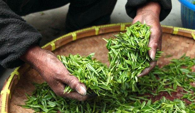 L-théanine et stress