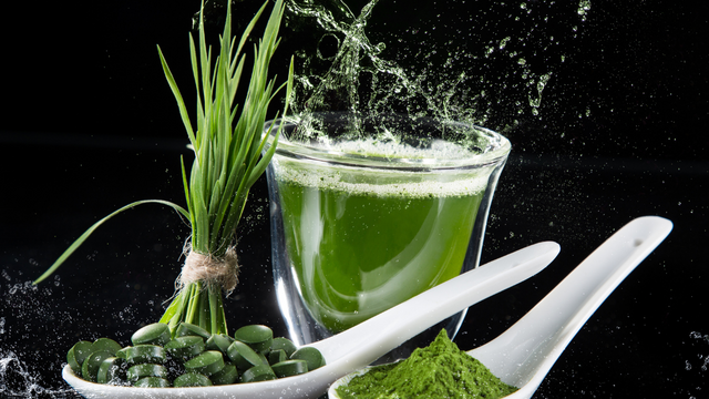 Spiruline et troubles cognitifs
