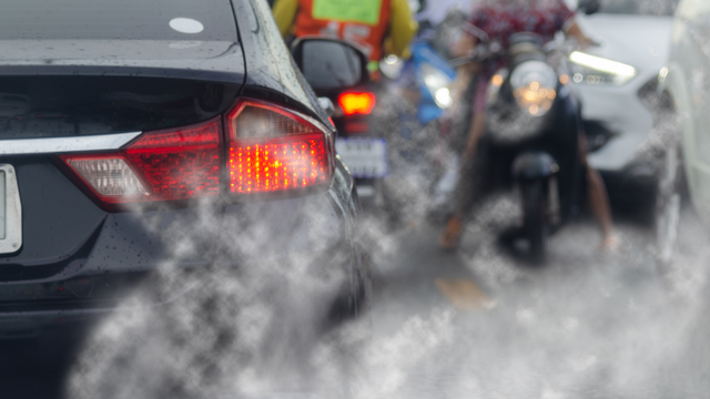 Huile de poisson et pollution atmosphérique