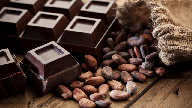 Chocolat noir et activité cérébrale