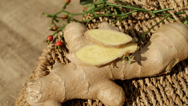 Gingembre, symptômes gastrointestinaux et sclérose en plaques