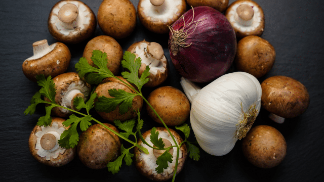 Champignons et performances cognitives