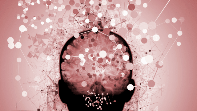 PEA et cognition