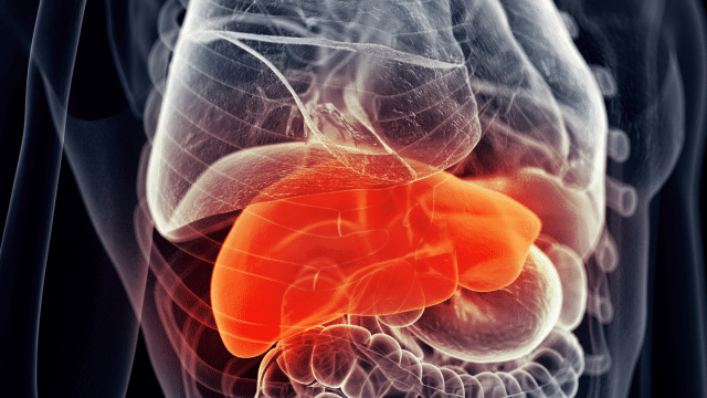 Acide alpha-lipoïque et NAFLD  