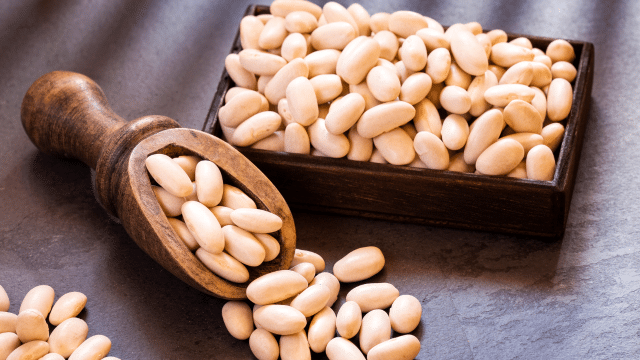 Phaseolus vulgaris et perte de poids