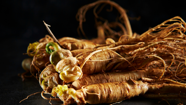 Ginseng et immunité